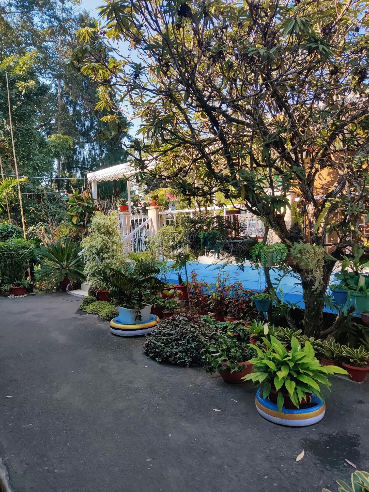 Hotel The Shire Kalimpong Exteriér fotografie